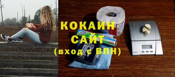 тгк Бородино