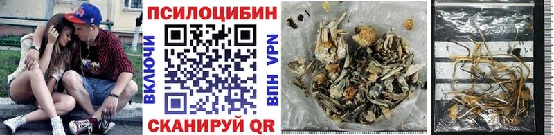 Галлюциногенные грибы Psilocybe дарнет шоп Пятигорск