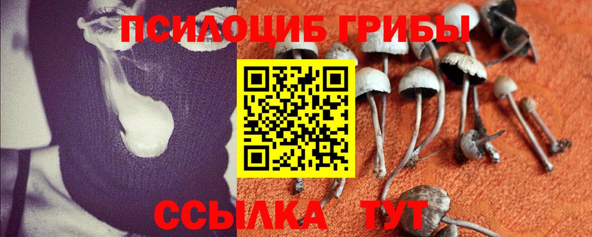 Пятигорск  Псилоцибиновые грибы мухоморы  Галлюциногенные грибы мухоморы  дарнет шоп  Вход с VPN 